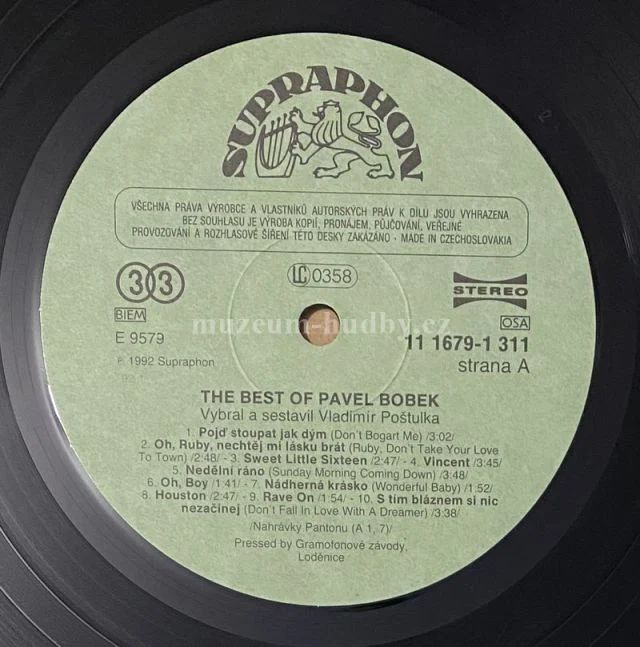 Pavel Bobek - Obrázek 4