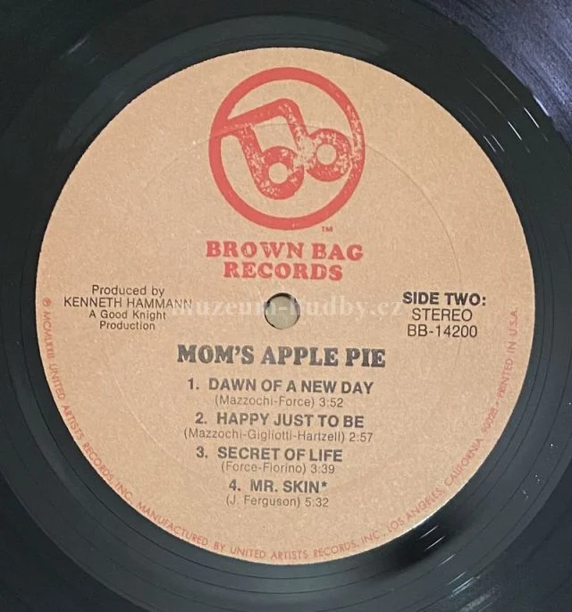 Mom's Apple Pie - Obrázek 5