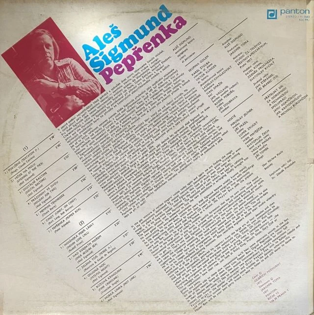 Aleš Sigmund - Obrázek 2