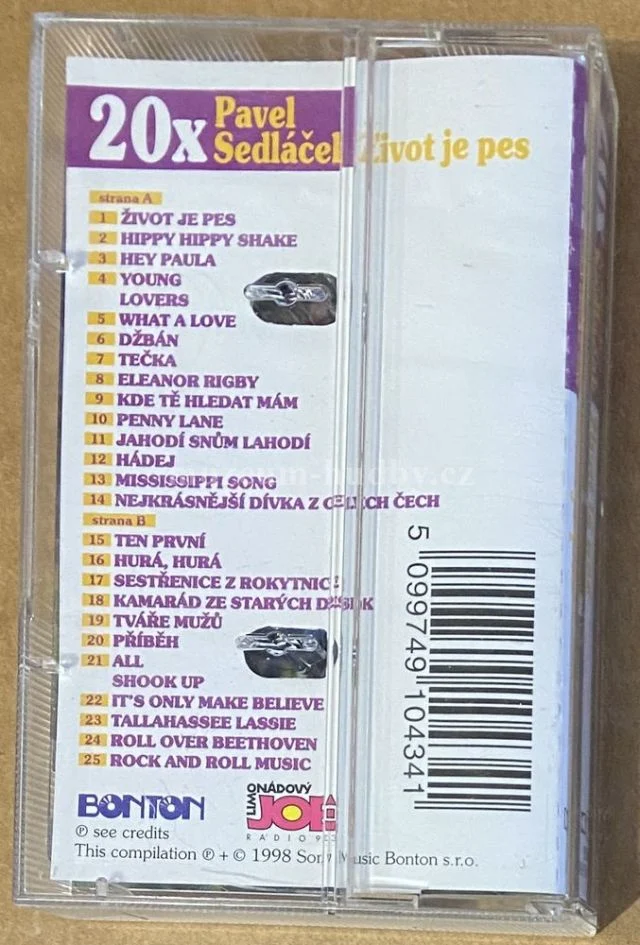 Pavel Sedláček - Obrázek 3