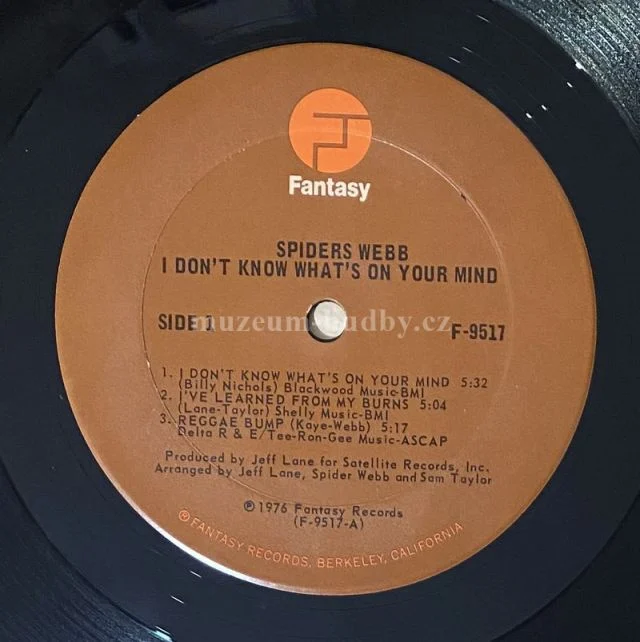 Spiders Webb - Obrázek 5