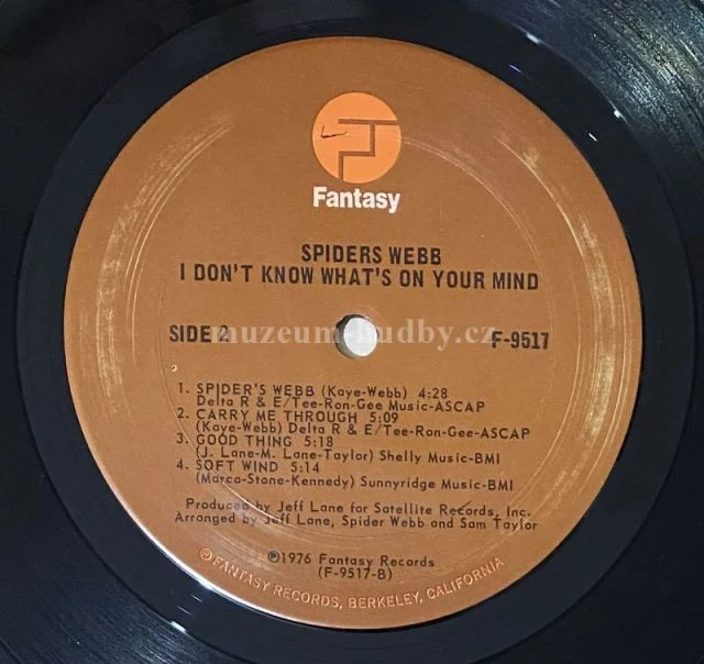 Spiders Webb - Obrázek 6