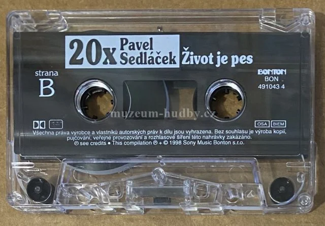 Pavel Sedláček - Obrázek 5