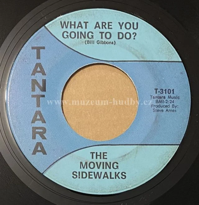 The Moving Sidewalks - Obrázek 2