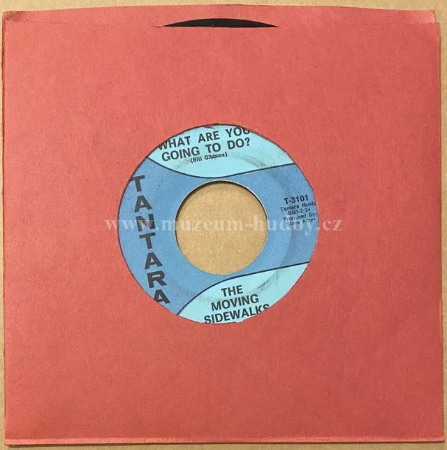 The Moving Sidewalks - Obrázek 3