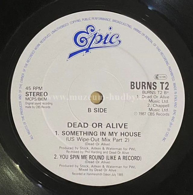 Dead Or Alive - Obrázek 2