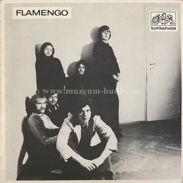 Flamengo / Vladimír Mišík - Obrázek 2