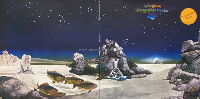 Yes - Obrázek 3