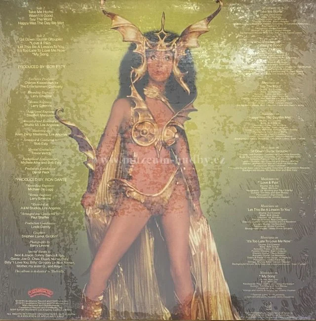 Cher - Obrázek 2