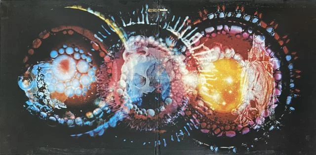 Paul Kantner / Grace Slick - Obrázek 2