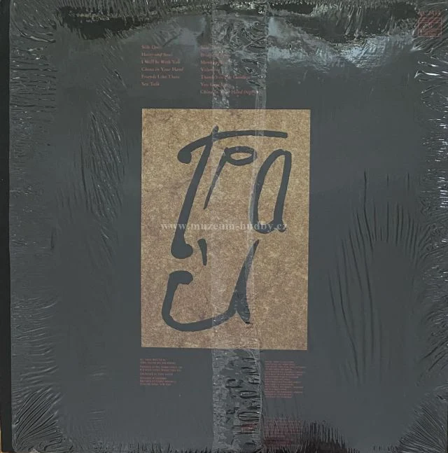 T'Pau - Obrázek 2