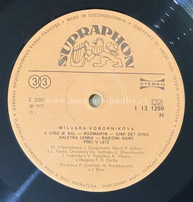 Miluška Voborníková - Obrázek 4