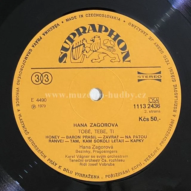 Hana Zagorová - Obrázek 5