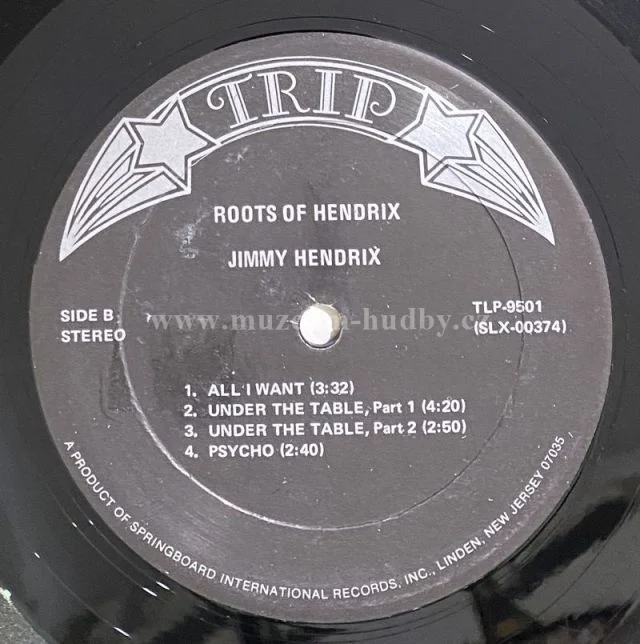 Jimi Hendrix - Obrázek 5
