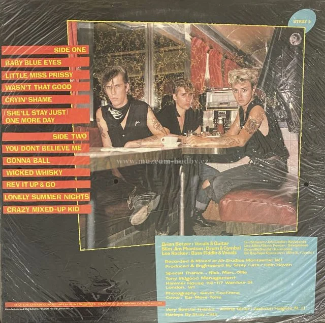 Stray Cats - Obrázek 2