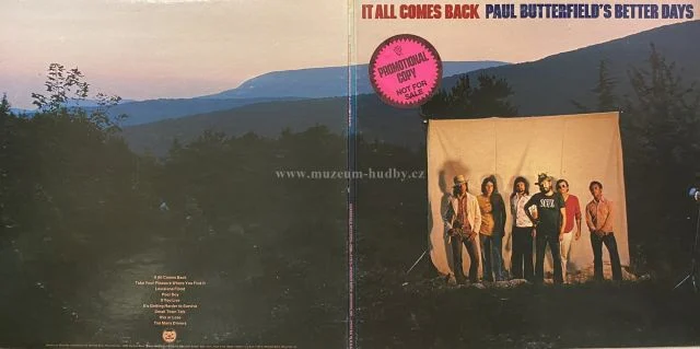 Paul Butterfield's Better Days - Obrázek 3