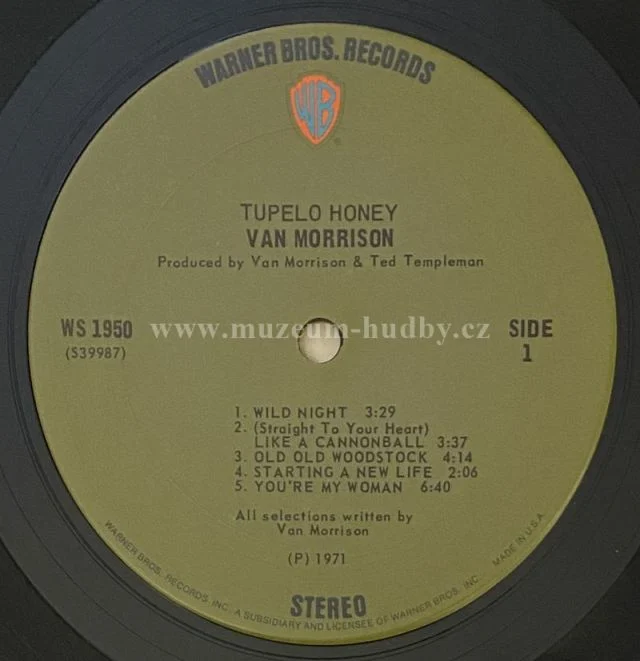 Van Morrison - Obrázek 6