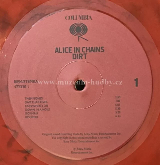Alice In Chains - Obrázek 6