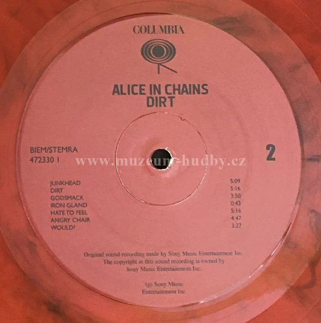 Alice In Chains - Obrázek 7