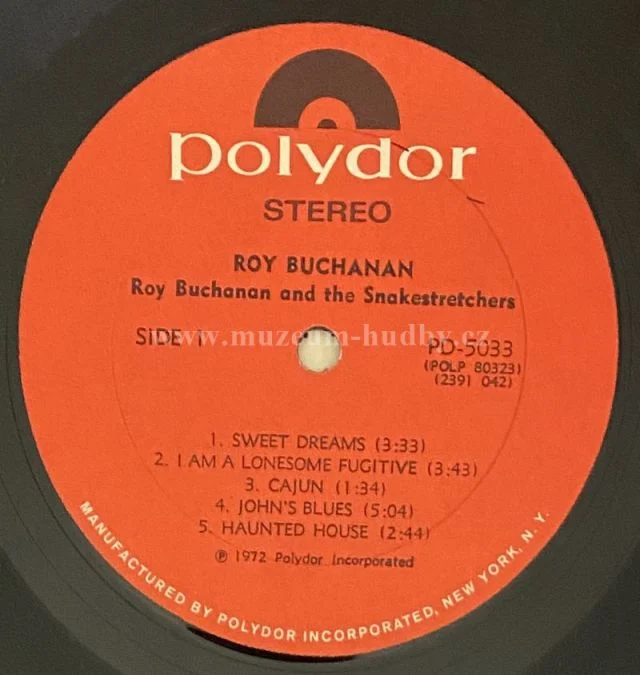 Roy Buchanan - Obrázek 4