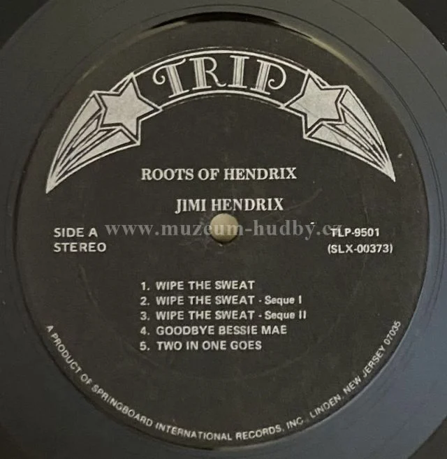 Jimi Hendrix - Obrázek 5