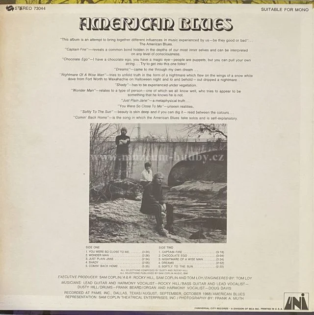American Blues - Obrázek 2