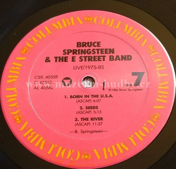 Bruce Springsteen & The E Street Band - Obrázek 15