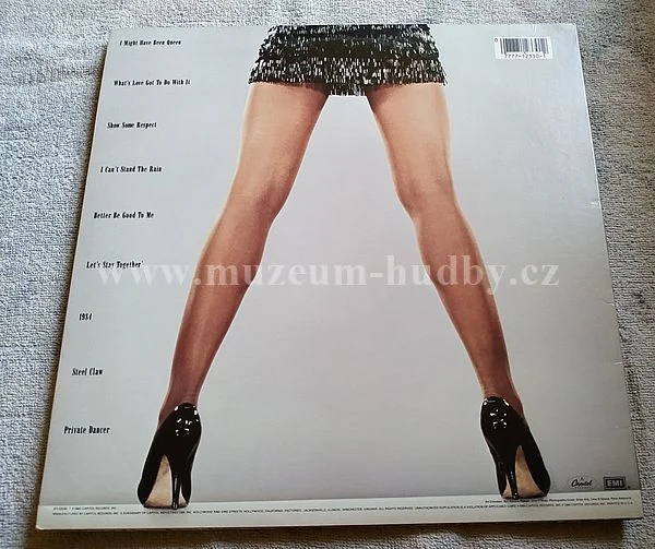 Tina Turner - Obrázek 2