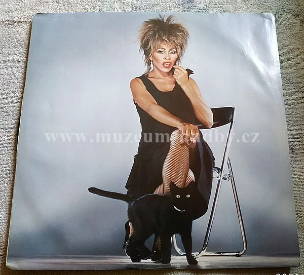 Tina Turner - Obrázek 3