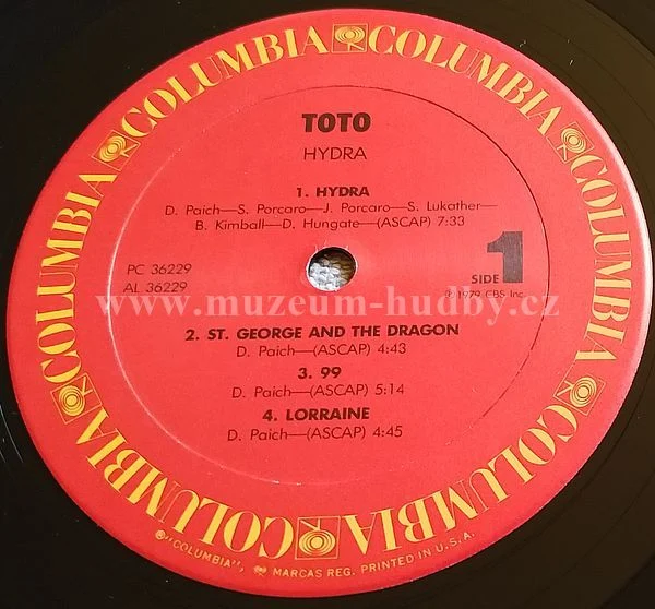 Toto - Obrázek 4