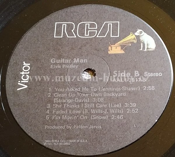 Elvis - Obrázek 4