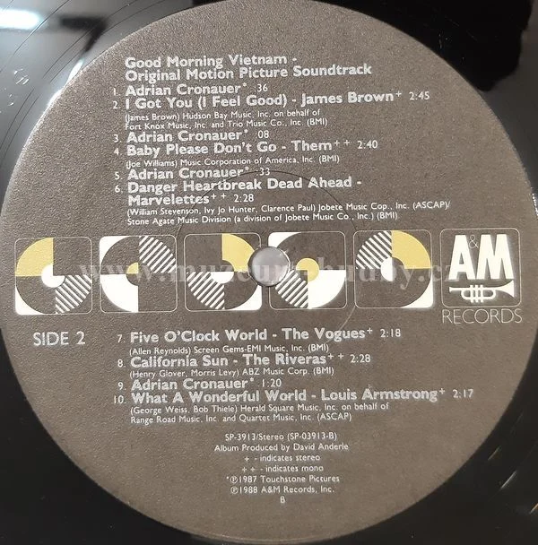 Robin Williams, The Beach Boys, James Brown & Others - Obrázek 4