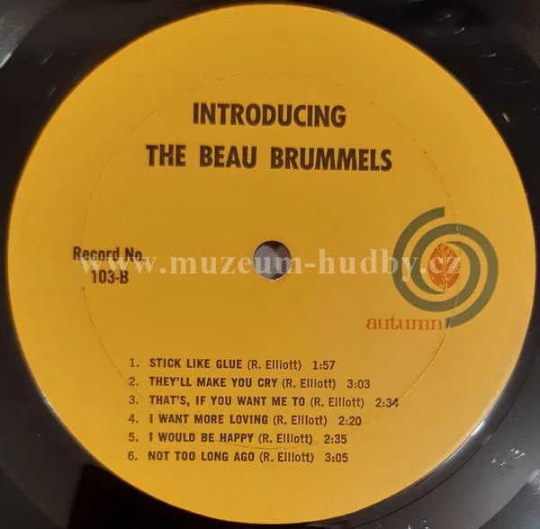 The Beau Brummels - Obrázek 4