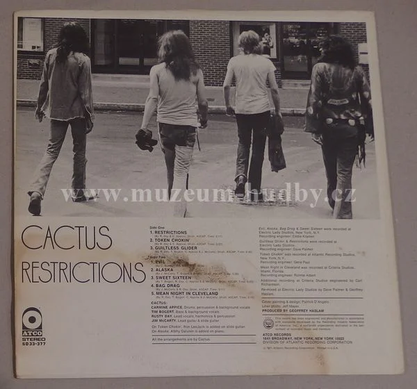 Cactus - Obrázek 2