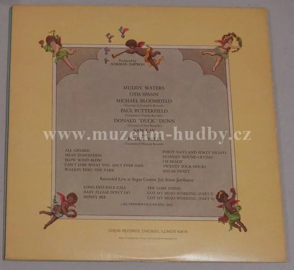Muddy Waters - Obrázek 3