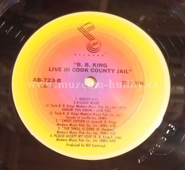B. B. King - Obrázek 4