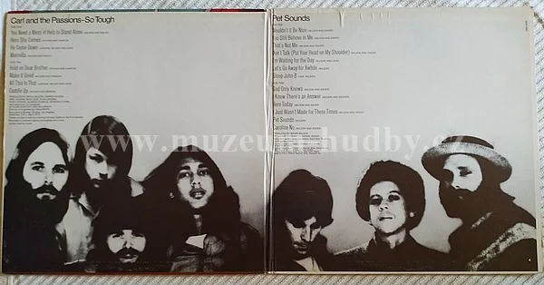 The Beach Boys - Obrázek 2