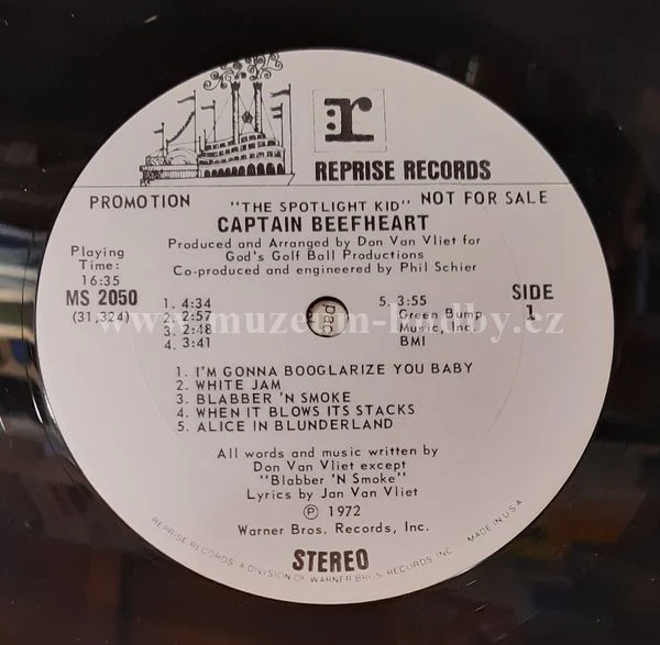Captain Beefheart - Obrázek 4