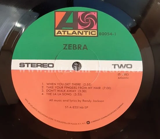 Zebra - Obrázek 5