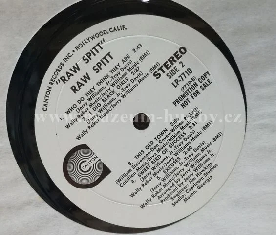 Raw Spitt - Obrázek 3