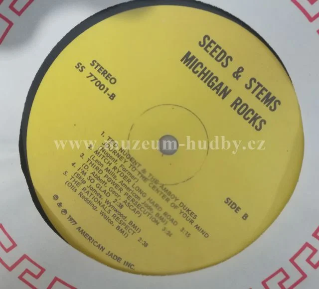 MC-5,The Stooges,The Bob Seger System - Obrázek 4