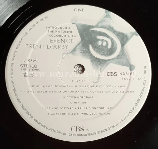 Terence Trent D'Arby - Obrázek 5