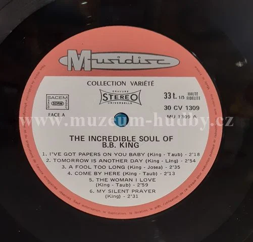 B. B. King - Obrázek 3