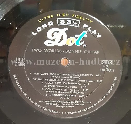Bonnie Guitar - Obrázek 4