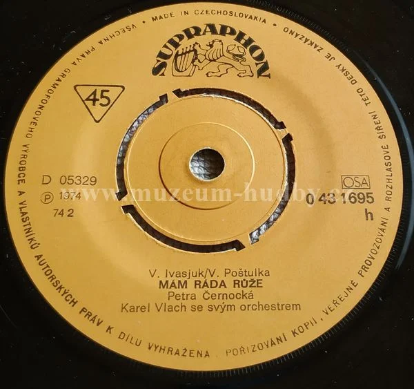 Petra Černocká - Obrázek 2