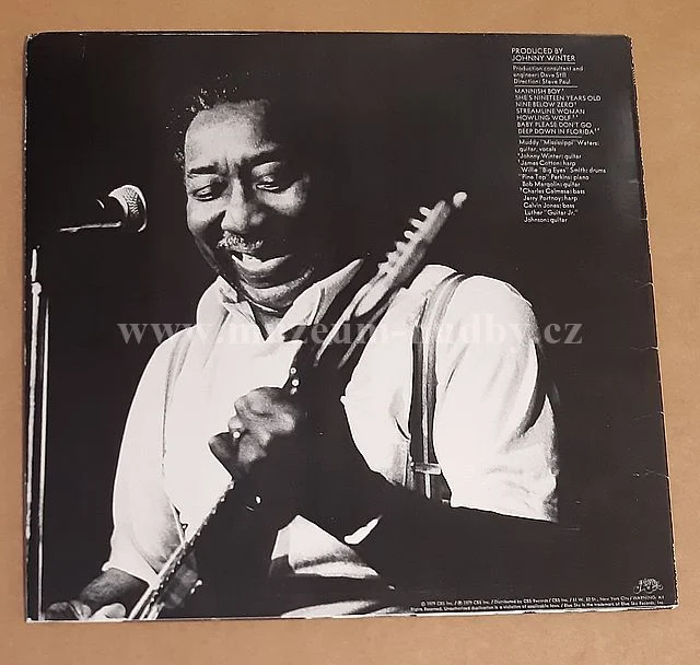 Muddy Waters - Obrázek 2