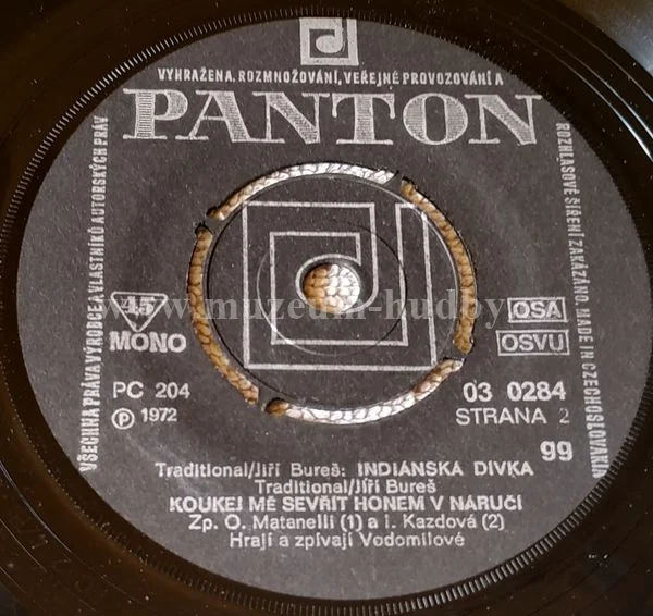 Vodomilové - Obrázek 3