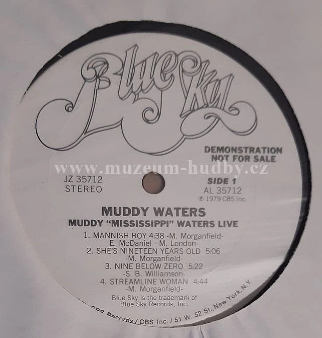 Muddy Waters - Obrázek 5