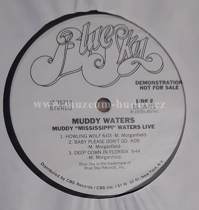 Muddy Waters - Obrázek 6