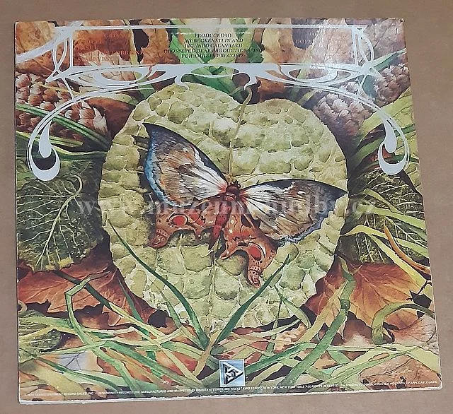 Spyro Gyra - Obrázek 2